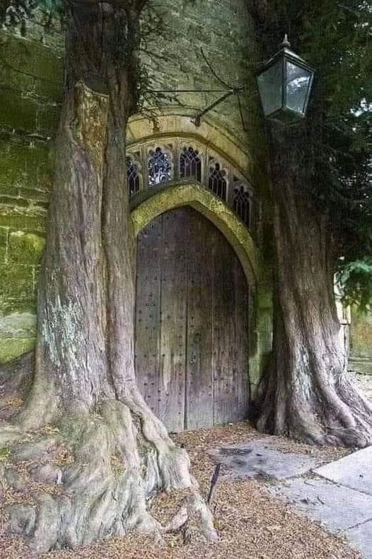 Enchanting… This Door is Over 275 Years Old! Cotswolds, England