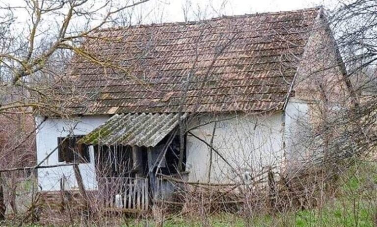 The Young Family Did Not Have Money For an Apartment: So They Bought an Abandoned House And Turned It Into a Fairytale House!