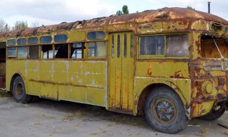 A Woman Turned a 1966 Bus into a Comfortable and Cozy Home on Wheels