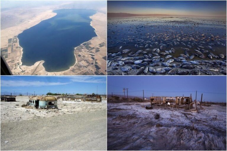 Salton Sea – The Accidentally Created Lake